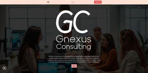 Gnexus Consulting